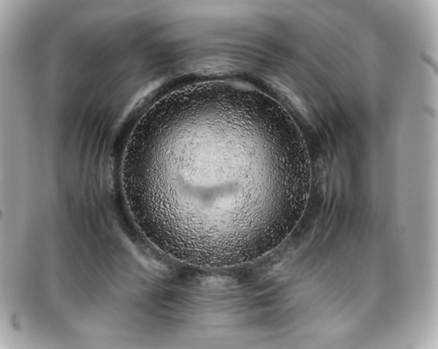 X0000096420400200801241321