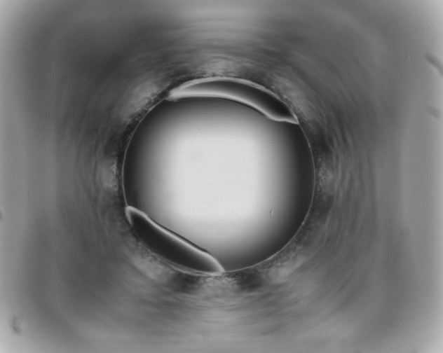 X0000096420403200801241321