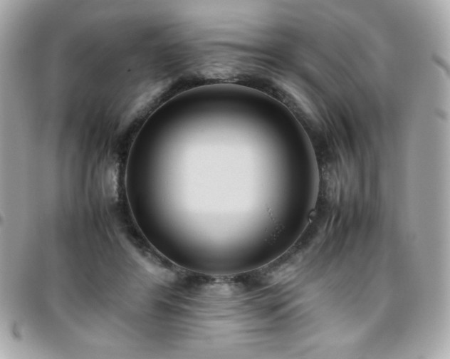 X0000096420404200801241321
