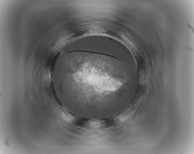 X0000096420405200801241321