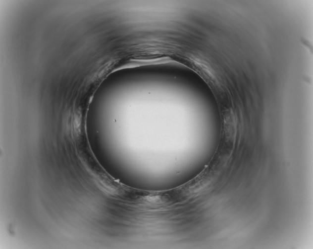 X0000096420406200801241321