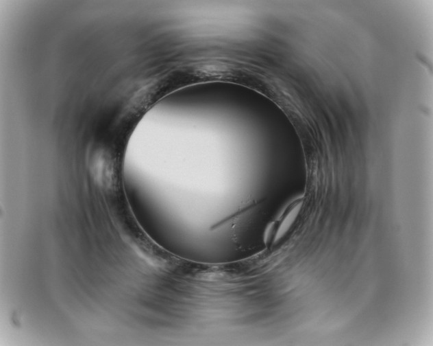 X0000096420408200801241321