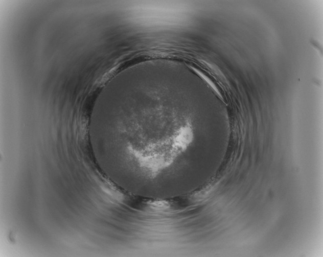 X0000096420409200801241321