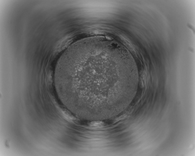 X0000096420410200801241321