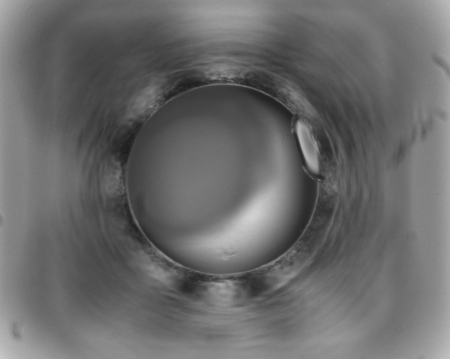 X0000096420411200801241321
