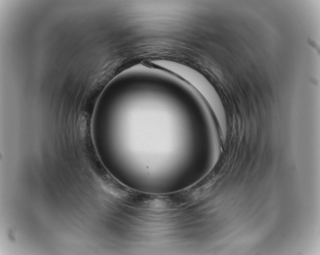 X0000096420412200801241321