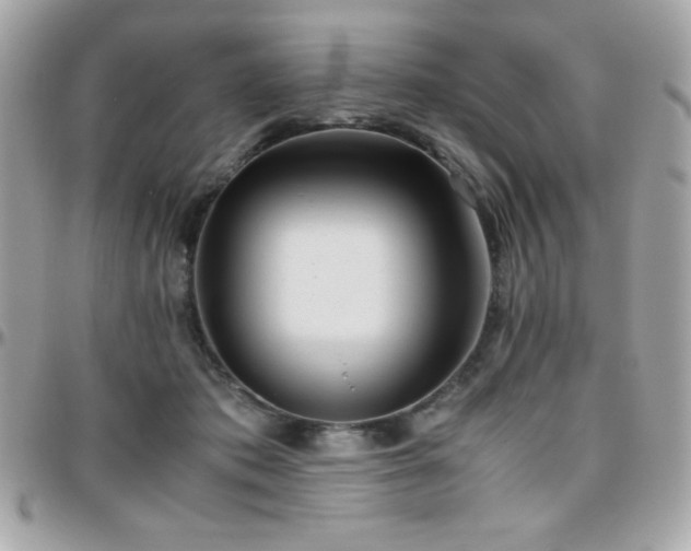 X0000096420413200801241321