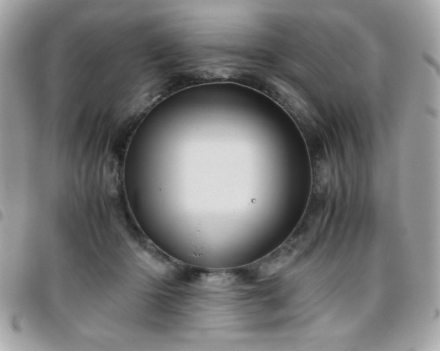 X0000096420414200801241321