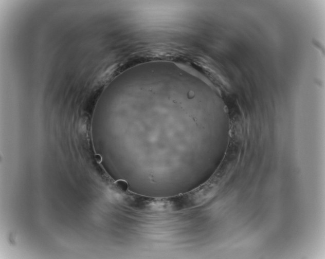 X0000096420415200801241321
