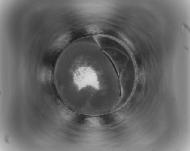 X0000096420417200801241321