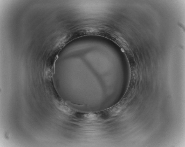 X0000096420419200801241321