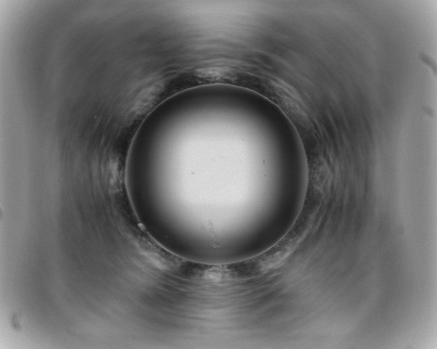 X0000096420420200801241321