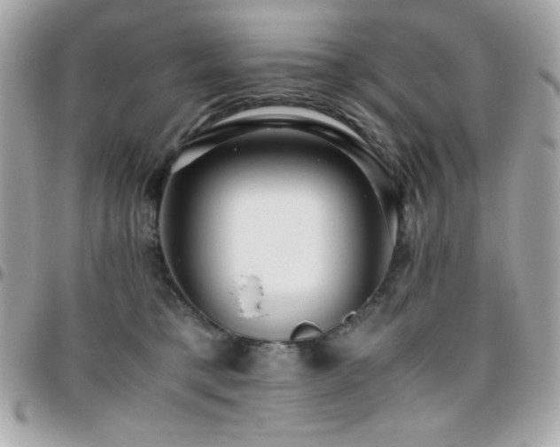X0000096420421200801241321