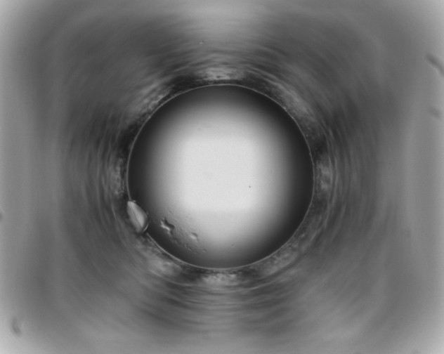 X0000096420422200801241321