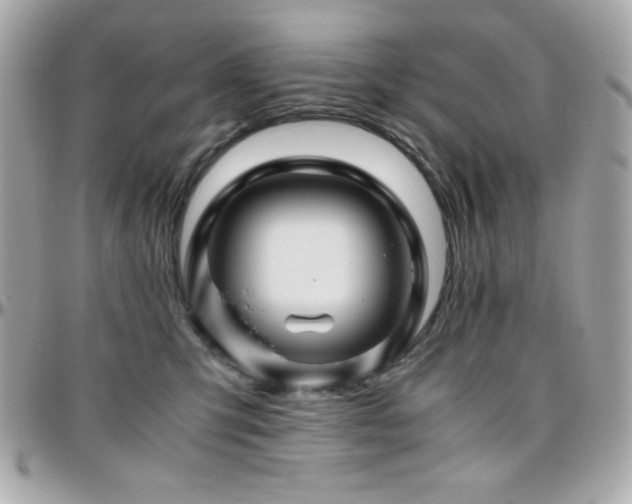 X0000096420423200801241321