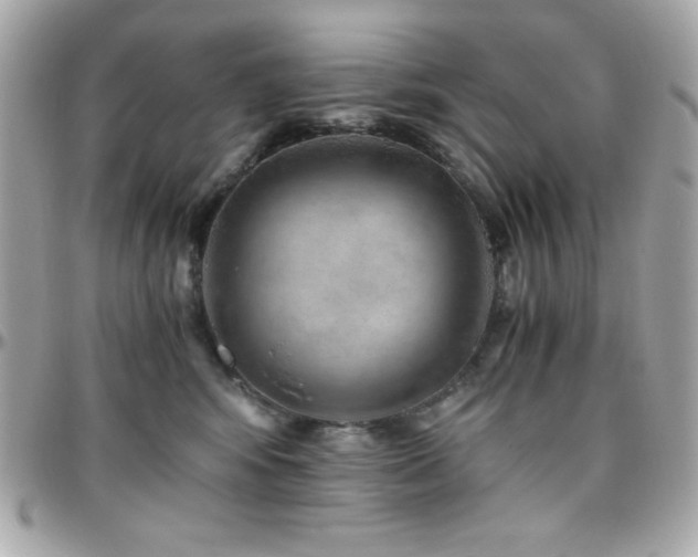 X0000096420424200801241321