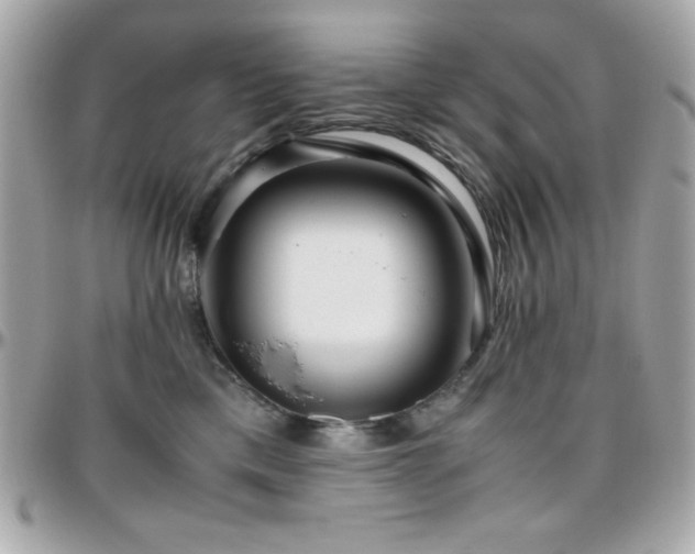 X0000096420425200801241321