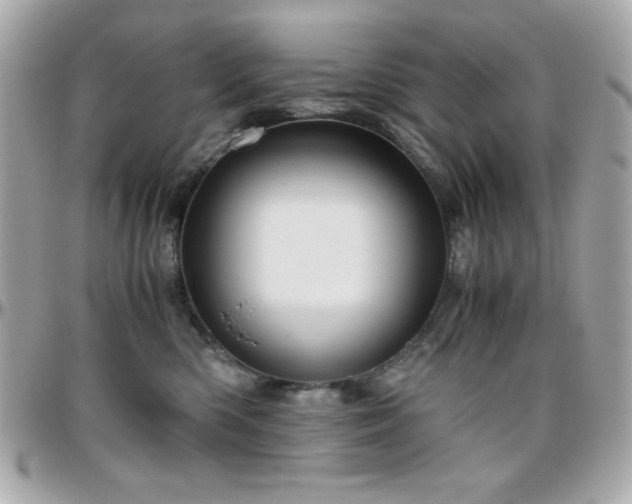 X0000096420426200801241321