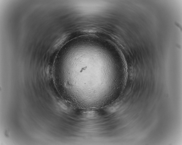 X0000096420428200801241321