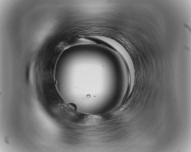 X0000096420429200801241321