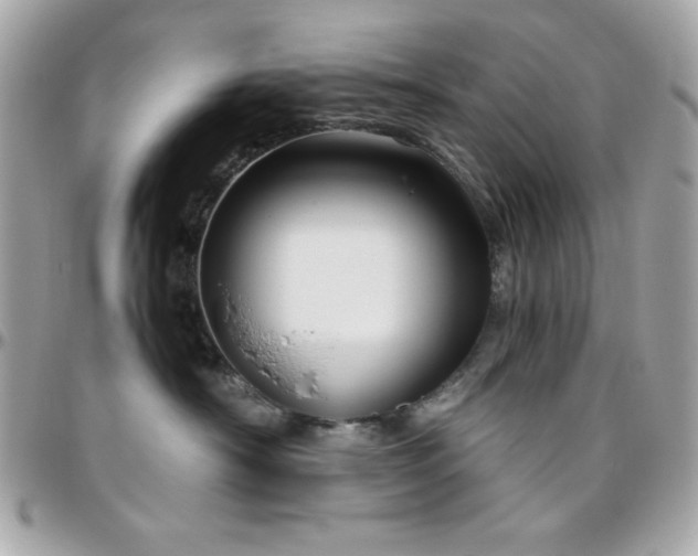 X0000096420430200801241321