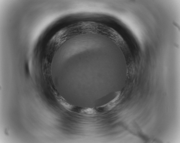 X0000096420431200801241321