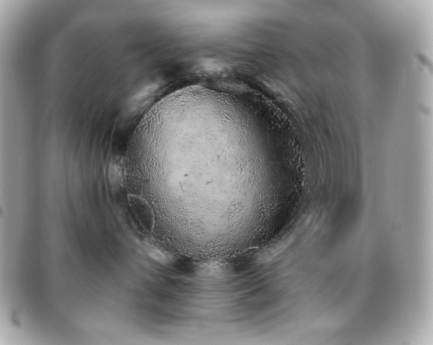 X0000096420432200801241321