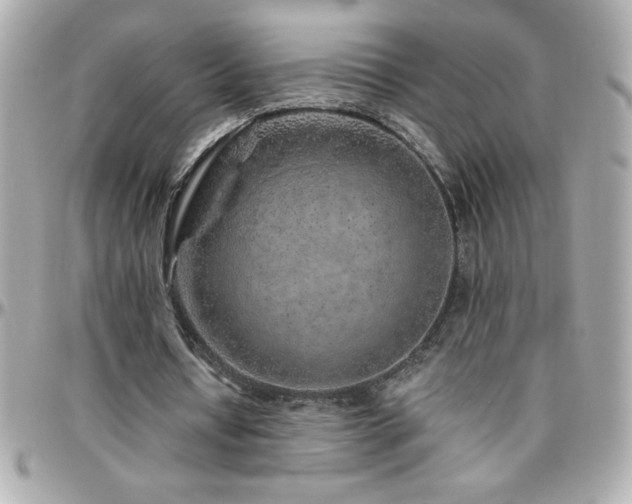 X0000096420434200801241320
