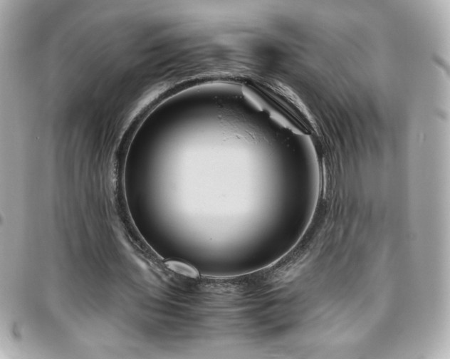 X0000096420435200801241320