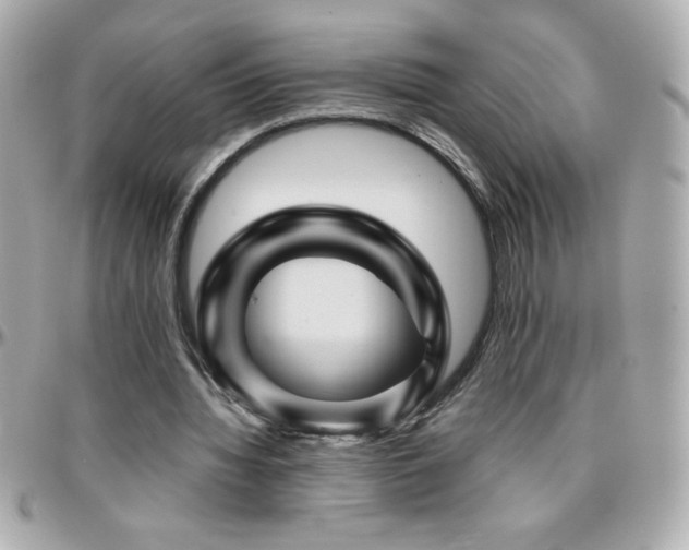 X0000096420436200801241320