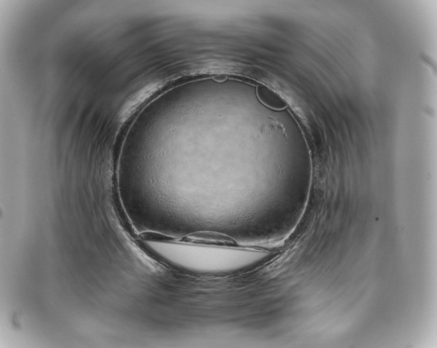 X0000096420437200801241320