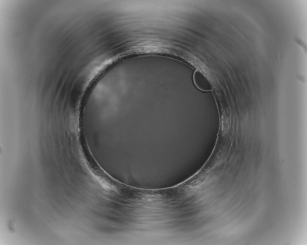 X0000096420438200801241320
