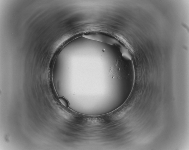 X0000096420439200801241320