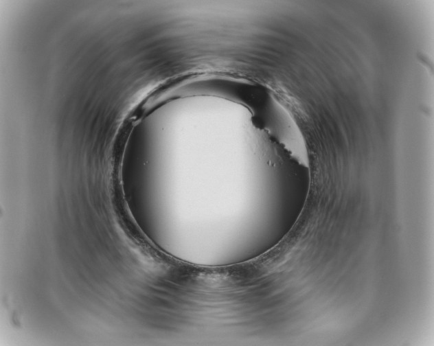 X0000096420440200801241320