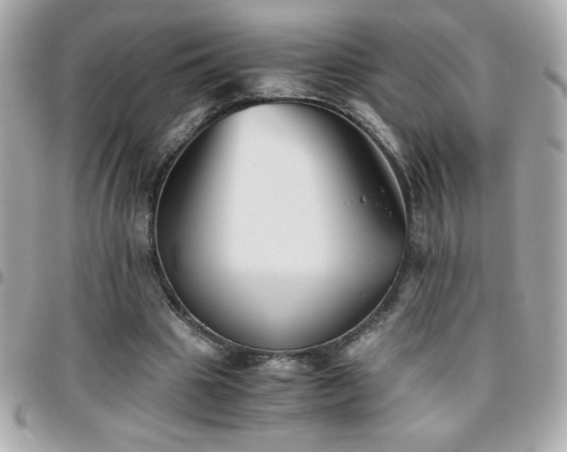 X0000096420441200801241320