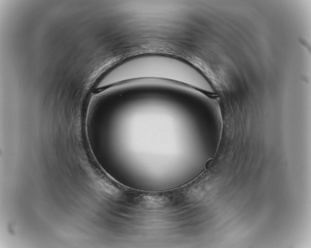 X0000096420442200801241320