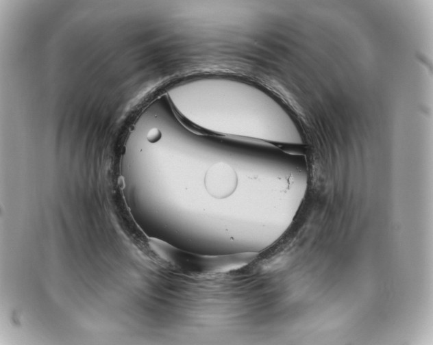 X0000096420444200801241320