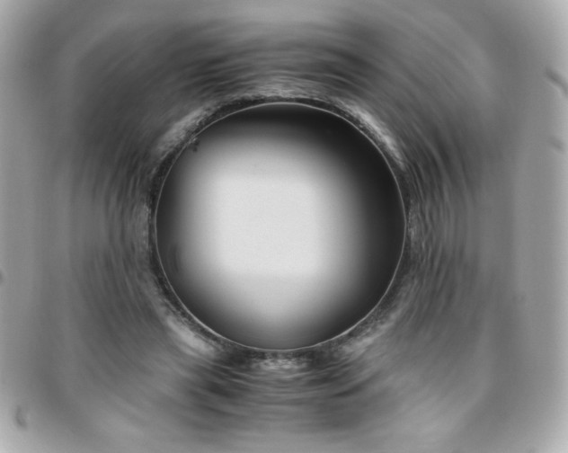 X0000096420445200801241320
