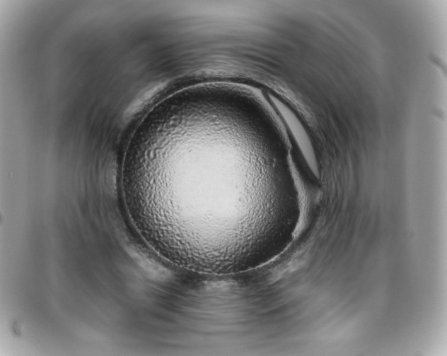 X0000096420446200801241320