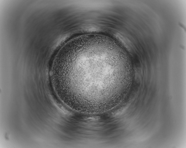 X0000096420447200801241320