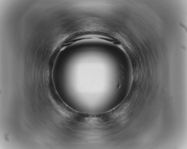 X0000096420448200801241320