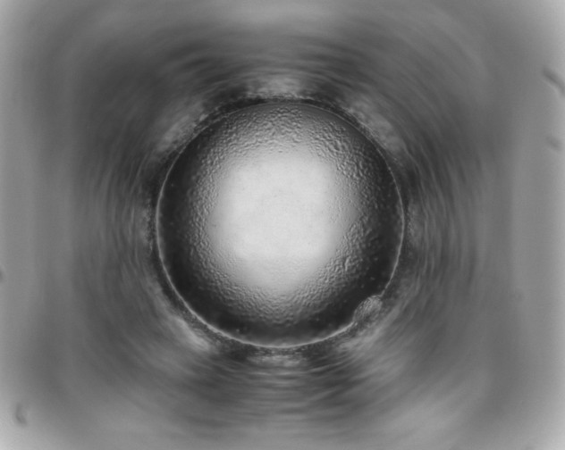 X0000096420449200801241320