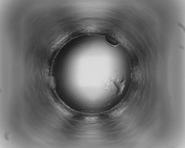 X0000096420450200801241320