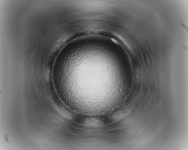 X0000096420451200801241320