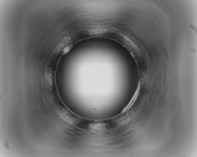X0000096420452200801241320