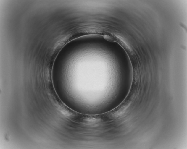 X0000096420453200801241320