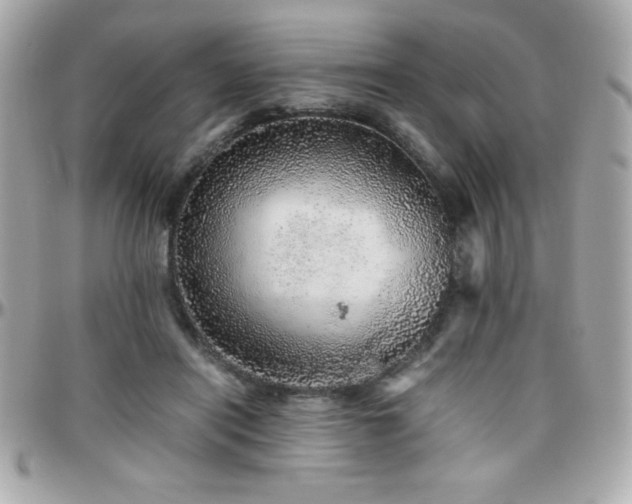 X0000096420454200801241320