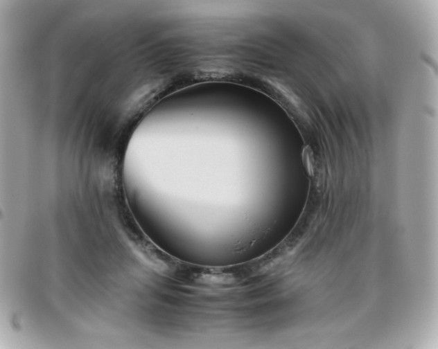 X0000096420455200801241320