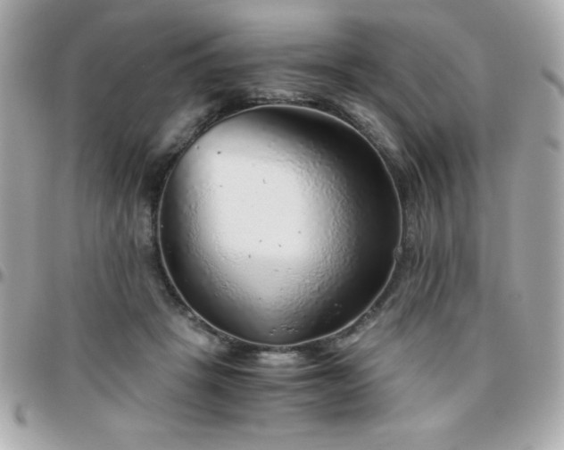 X0000096420457200801241320
