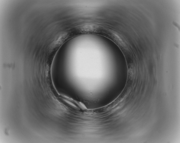 X0000096420458200801241320